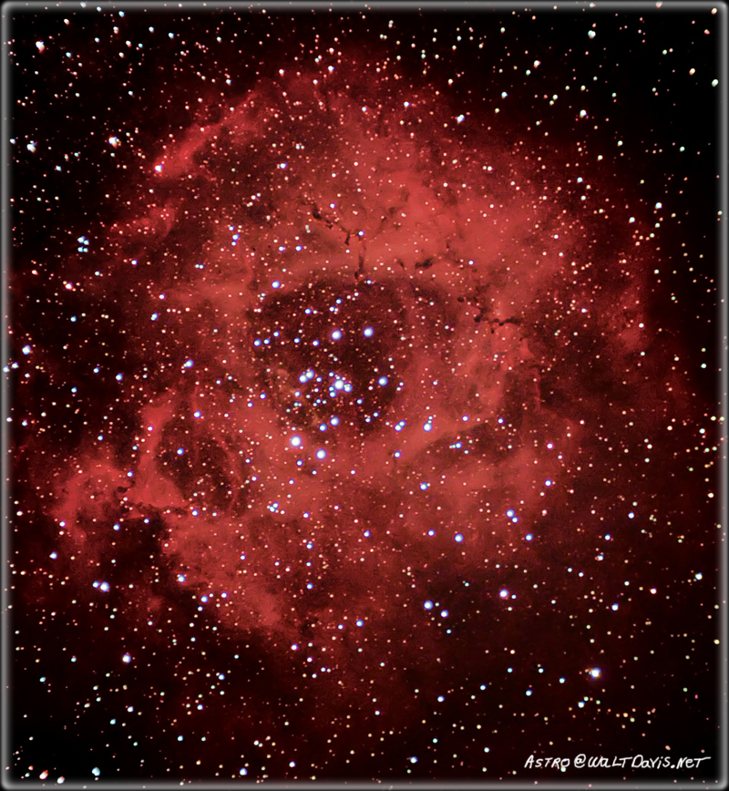 Resembling a Rose the Rosetta Nebula is a vast dust and gas cloud. At its center is an open star cluster NGC 2246. This star cluster is said to have formed from the dust and gas in the nebula. 